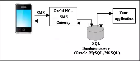 ozeki ng sms gateway connecting to database server