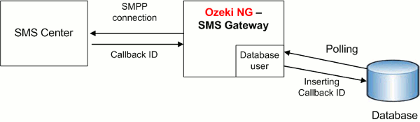sending sms from a database with database user