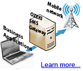 SMS business applications
