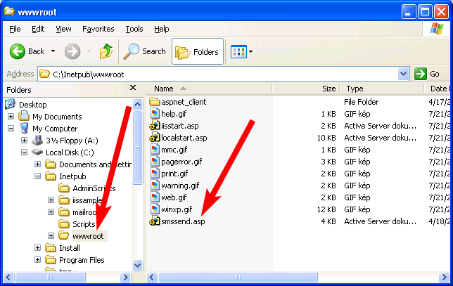 necessary files in the root directory of iis