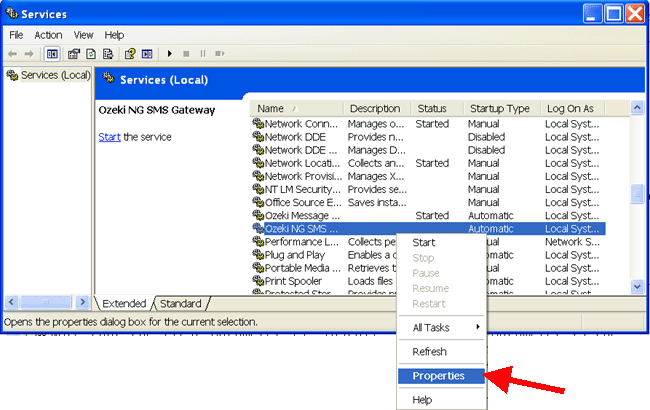 checking the service in the service management window