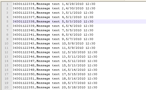 csv file after export