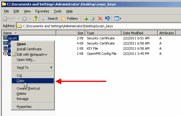 where are openvpn access server config file